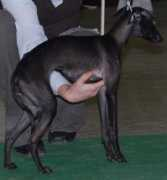 netspace.sk Finikova