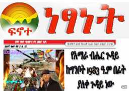 ethiomgf.com Finote