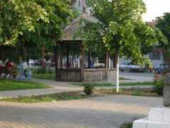 vinju-mare.ro Fintana