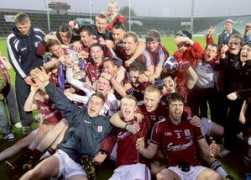 advertiser.ie Fiontan