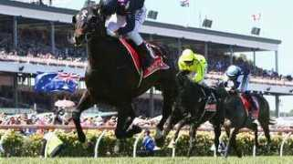 theage.com.au Fiorente