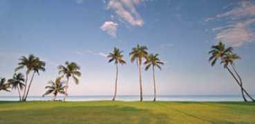 floridasunmagazine.com Firano