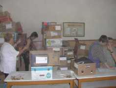 Firdea