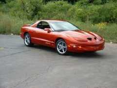 brewcitymuscle.com Firehawk