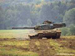 military-info.de Firelli