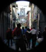ilfilo.net Firenz
