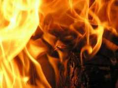 Firey