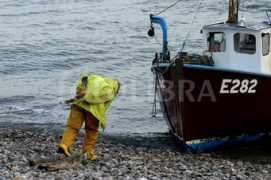 Fisherman