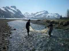 Fishery