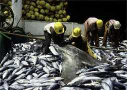 Fishery