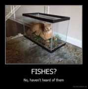 demotivation.us Fishes
