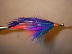 Fishey