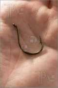 Fishhook