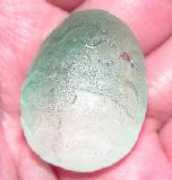 bezoarmustikapearls.com Fishi