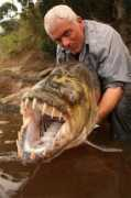 pusha.se Fisken