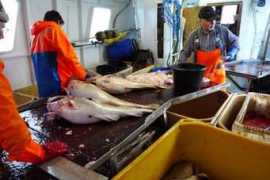 fiski.blog.is Fiski