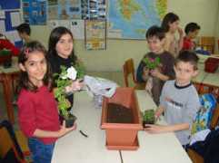 7dim-stavroup.thess.sch.gr Fitema