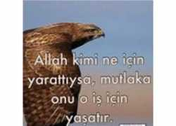 blog.milliyet.com.tr Fitrat