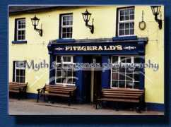 Fitzgeralds