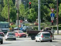 Fizli