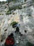 liceoalberti.it Fladimir