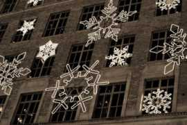 Flakes