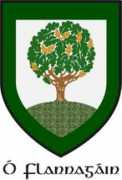 Flanagan