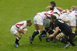 glogster.com Flanker