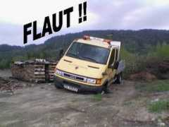 Flaut