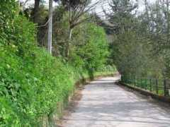 montorosuperiore.com Flavita