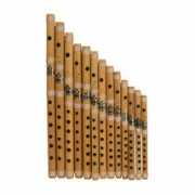 greatmusicproductsonline.com Flcs