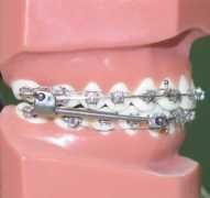 ortho-concept.com Flipa