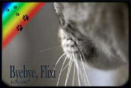 Flixi