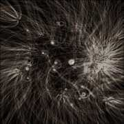 Floo
