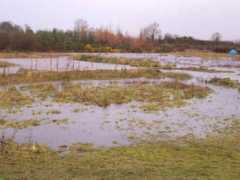 cherrytreefarm.com Floods