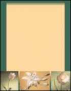 goodtogographics.com Florama