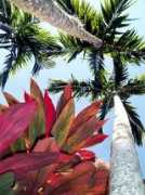 chuckbryant.com Floramar