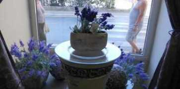 glasistre.hr Florami