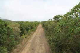panoramio.com Floreana