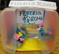 teacherweb.com Floreria