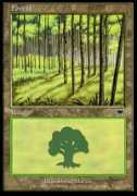 Floresta