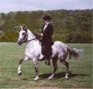 hillsidefarms.biz Florete