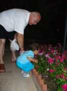 garbo.ro Florile