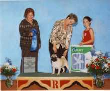 rowellpugs.com Florise