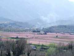 panoramio.com Florit