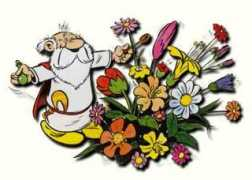 comedix.de Florix