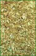 agromil.it Floriz