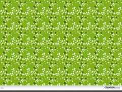 colourlovers.com Florz