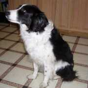 Flossie