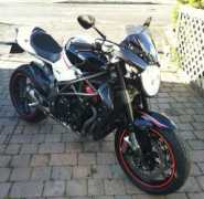 gallery.mvagusta.net Flushman